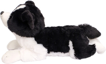 PLUSZOWY PIESEK BORDER COLLIE MASKOTKA PRZYTULANKA PIES 60 cm Madej 