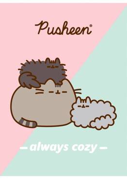 ST. MAJEWSKI ZESTAW UPOMINKOWY PLASTYCZNY PUSHEEN WYPRAWKA DO SZKOŁY